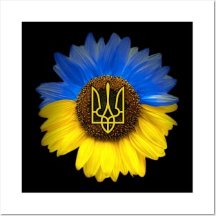 Ukrainian Sunflower Posters and Art